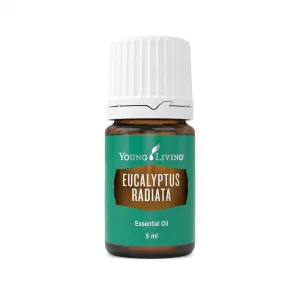 Eucalyptus Radiata essential oil from Young Living