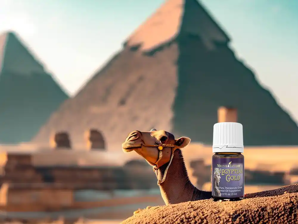 egyptian gold essential oil young living