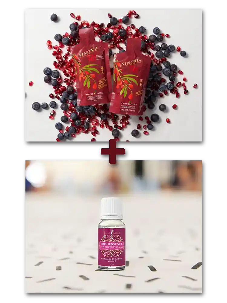 ningxia red and ppp bundle mobile 28 to elevate