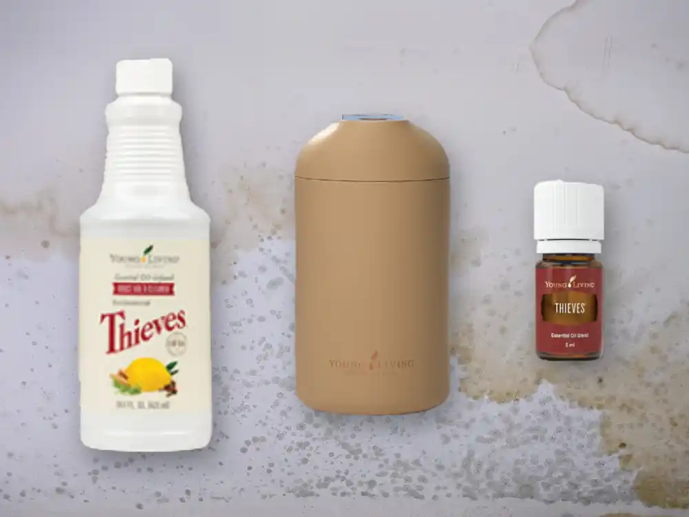 get rid of mould naturally with young living thieves