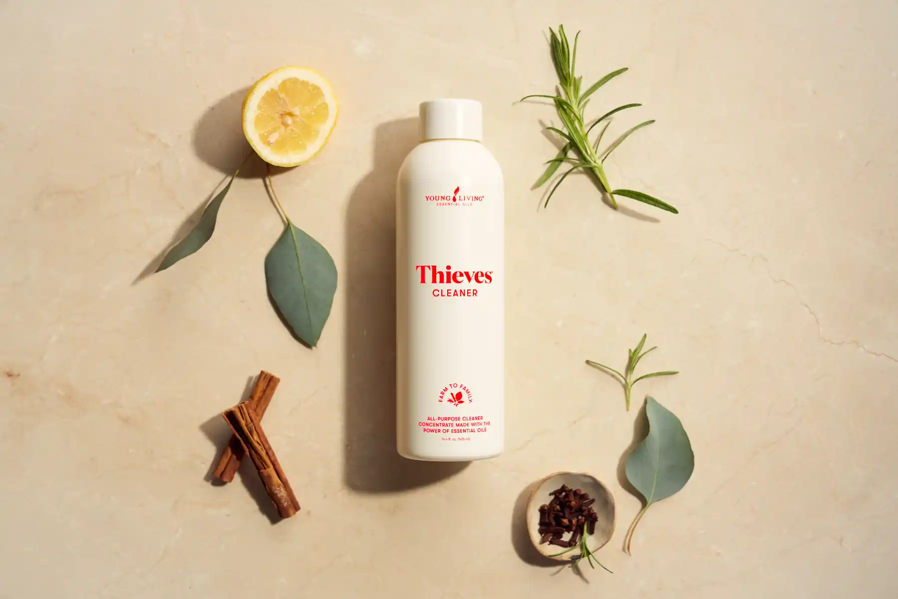 Essential Oils Archive Get rid of mould naturally with Thieves Household Cleaner Beauty 01