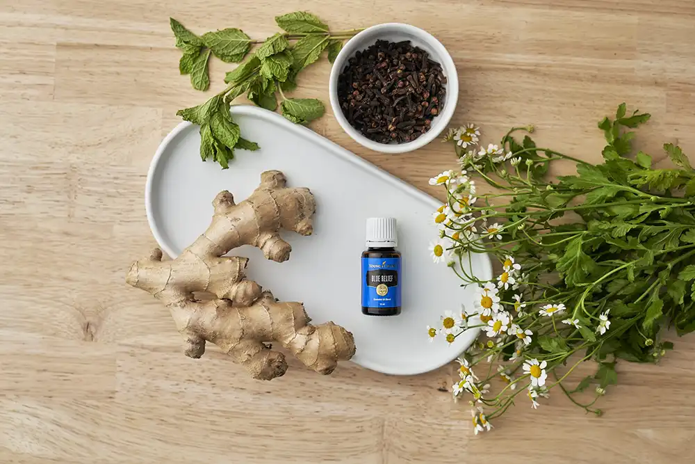 Blue Relief Essential Oil Blend 15ml Blue Relief Essential Oil Blend 15ml - Image 5